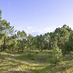 Divine Waves Duplex By Portugal Active
