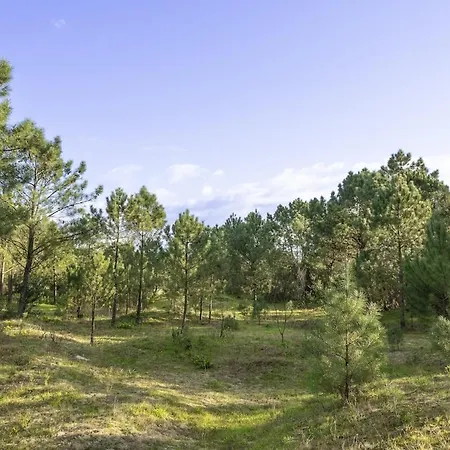 Divine Waves Duplex By Portugal Active