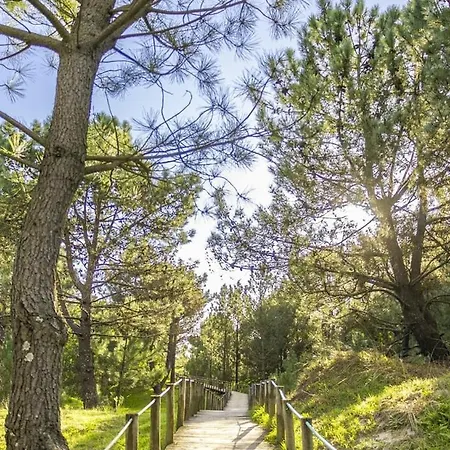 Divine Waves Duplex By Portugal Active Viana do Castelo