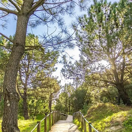 Apartment Divine Waves Duplex By Portugal Active *