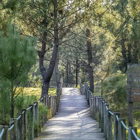 Divine Waves Duplex By Portugal Active * Viana do Castelo