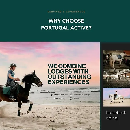 Divine Waves Duplex By Portugal Active * 维亚纳堡