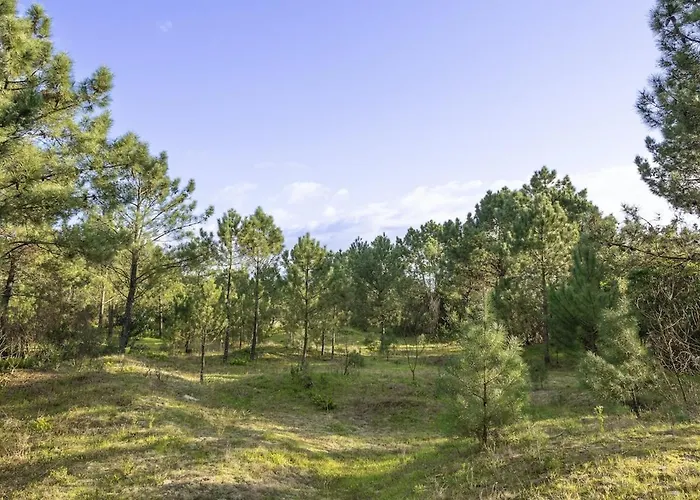 Divine Waves Duplex By Portugal Active