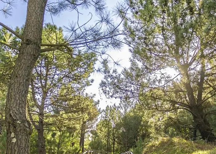 Divine Waves Duplex By Portugal Active Viana do Castelo