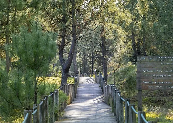 Divine Waves Duplex By Portugal Active * Viana do Castelo